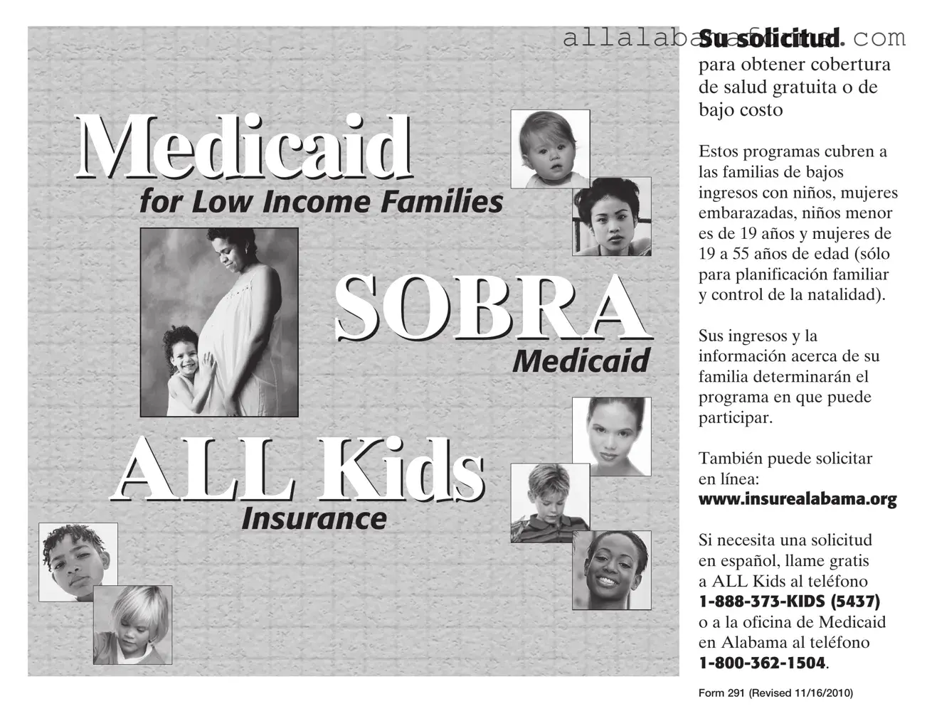 Free Insure Alabamaorg PDF Template